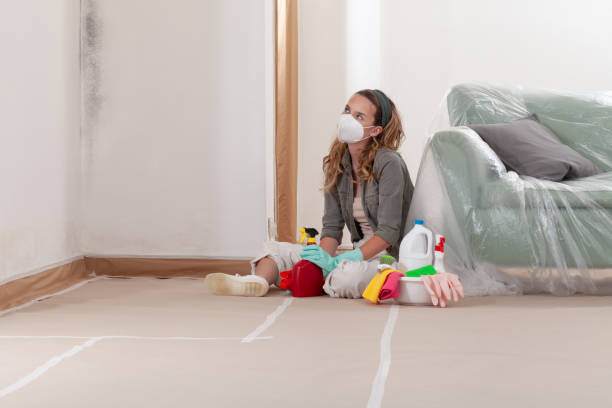 Reliable Mold Testing contractor in South Mills, NC by WQB Mold Removal